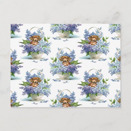 愛犬のヴィンテージ ポストカード (正面)