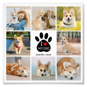 愛犬の写真を拡大した8枚のフォトコラージュ 私の愛犬 フォトプリント