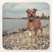 愛犬の写真入りペーパーコースター スクエアペーパーコースター (正面)