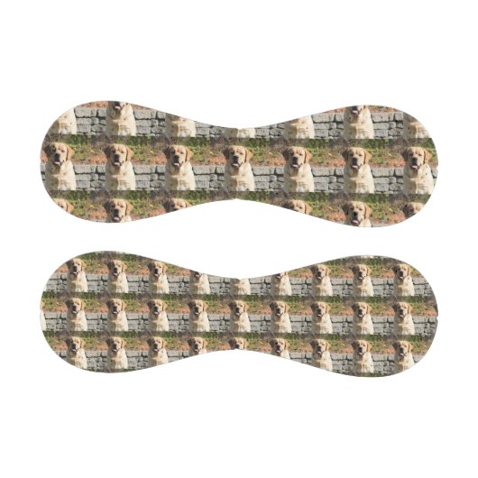 愛犬の写真 野球ボール (パネル)