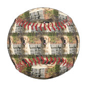 愛犬の写真 野球ボール (裏面)