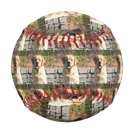 愛犬の写真 野球ボール (裏面)