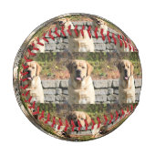 愛犬の写真 野球ボール (正面左)