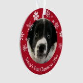 愛犬の初めてのクリスマス パーソナライズド オーナメント (正面)