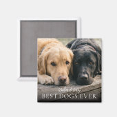 愛犬の名前と写真のマグネット Best Dogs Ever マグネット (正面/裏面)