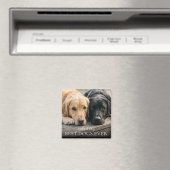 愛犬の名前と写真のマグネット Best Dogs Ever マグネット (インサイチュ (食洗機))