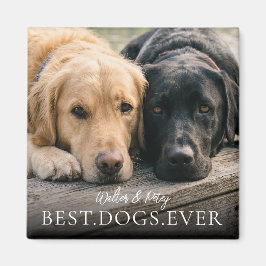 愛犬の名前と写真のマグネット Best Dogs Ever マグネット