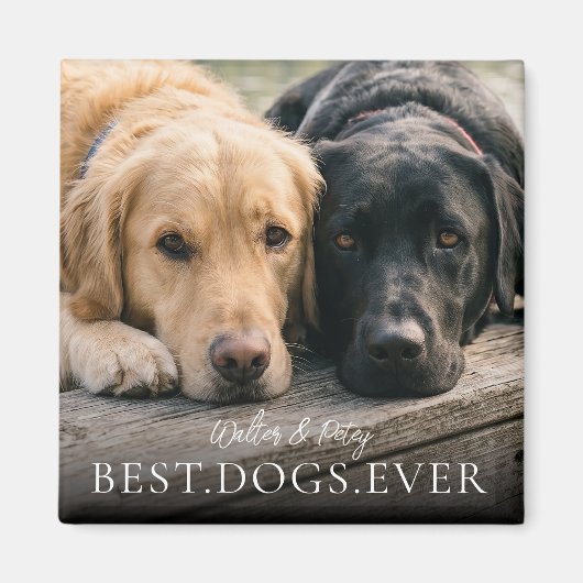 愛犬の名前と写真のマグネット Best Dogs Ever マグネット (正面)