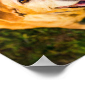 愛犬の思い出ポスター（老犬向け） ポスター (角)