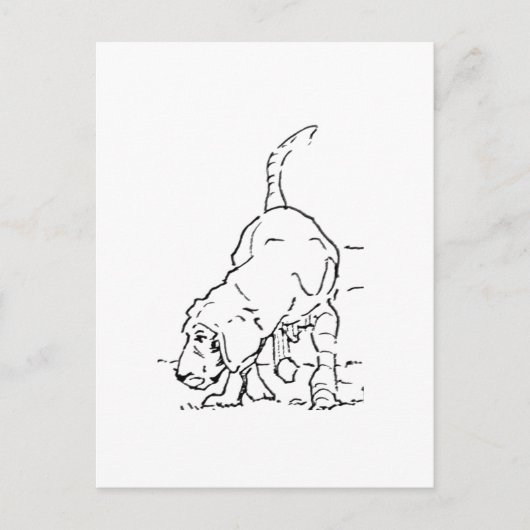 愛犬の思い出 ビーグルイラスト ポストカード (正面)