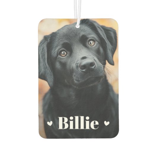 愛犬の猫名ハート2枚 カーエアーフレッシュナー (裏面)