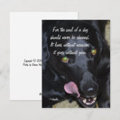 愛犬の魂 - ブラックラブ シーズンカード (正面/裏面)