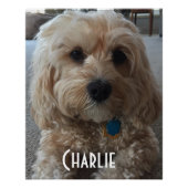 愛犬をカスタマイズ ポスター (正面)