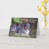 愛犬を失った悔やみや弔慰/詩 カード (黄色い花)