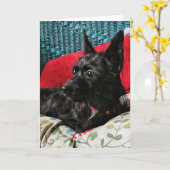 愛犬グリーティングカード カード (黄色い花)