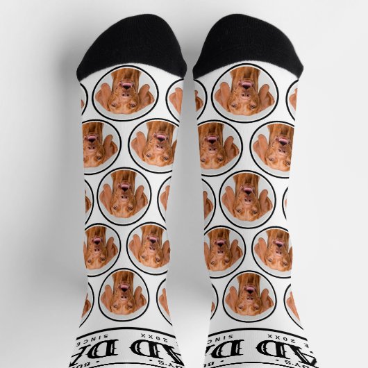 愛犬パパギフトカスタム白黒写真パターン ソックス (上部)