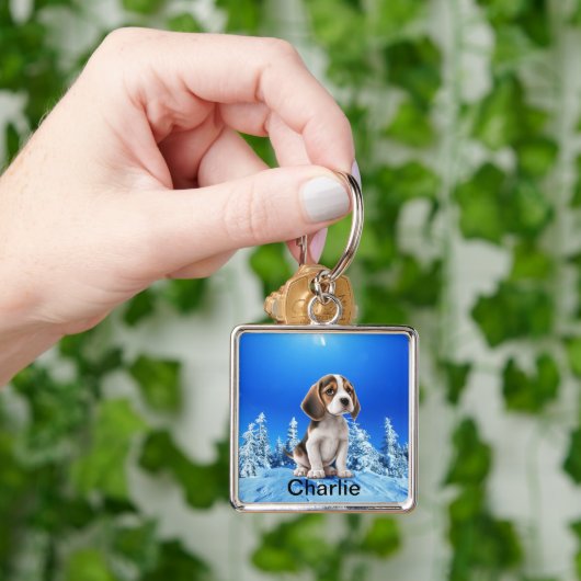 愛犬パーソナライズされたの猫好き写真 キーホルダー (手)