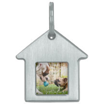 愛犬パーソナライズされた猫フォト写真画像