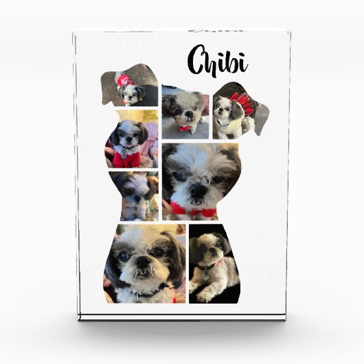 愛犬ファミリー犬の記念撮影コラージブロック フォトブロック (正面)