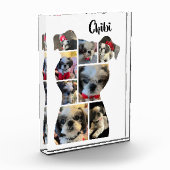 愛犬ファミリー犬の記念撮影コラージブロック フォトブロック (左)