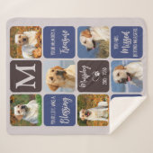 愛犬メモリアルカラーズモダン6枚の写真 シェルパブランケット (正面(横))