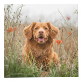 愛犬メモリアルフォトキューブ フォトキューブ (右)