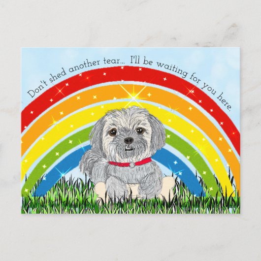 愛犬メモリアル シーズンポストカード (正面)