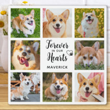 愛犬メモリアル フォーエバー イン アワーズ ハーツ オーダーメイド 8 枚写真