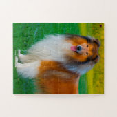 愛犬ラフコリー 家族のペット ジグソーパズル (横)