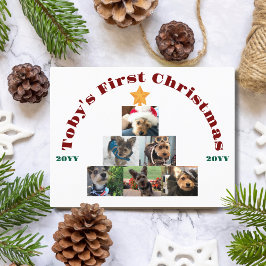愛犬初のクリスマス フォトツリー オーダーメイド ペット シーズンポストカード