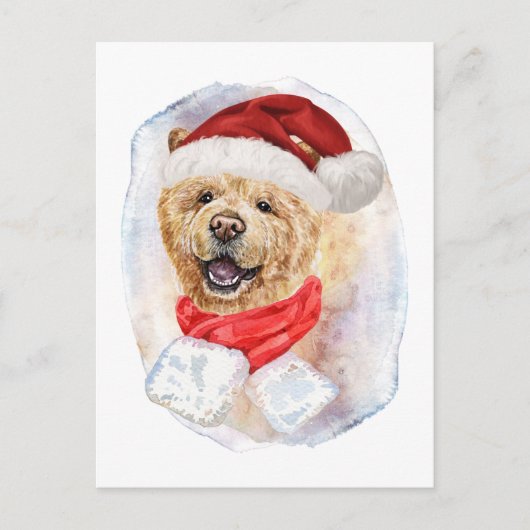 愛犬向けのチャウ・クリスマス・ギフト シーズンポストカード (正面)