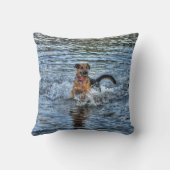 愛犬向け犬のデザイン|過去記事 クッション (裏面)