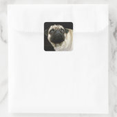 愛犬向け犬のデザイン|過去記事 スクエアシール (バッグ)