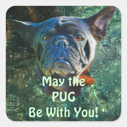 愛犬向け犬のデザイン|過去記事 スクエアシール (正面)