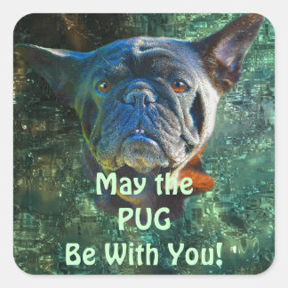 愛犬向け犬のデザイン|過去記事 スクエアシール