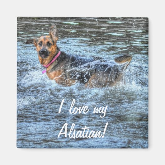 愛犬向け犬のデザイン|過去記事 マグネット (正面)