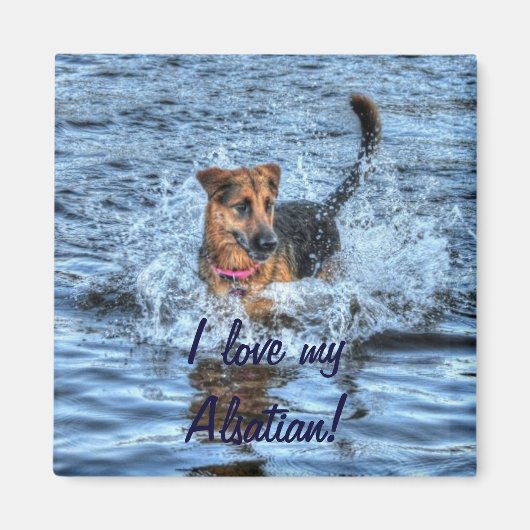 愛犬向け犬のデザイン|過去記事 マグネット (正面)