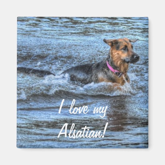 愛犬向け犬のデザイン|過去記事 マグネット (正面)