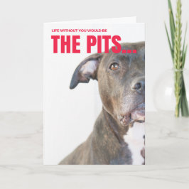 愛犬家のためのバレンタインカード シーズンカード