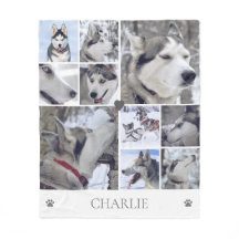 愛犬家のペットフォトコラージュ