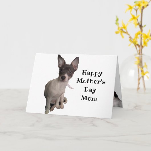 愛犬家の母の日  カード (黄色い花)