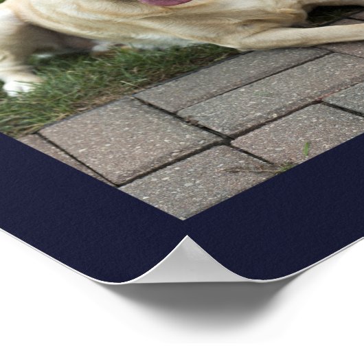 愛犬家の12枚の写真 家は愛犬と一緒 ポスター (角)