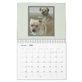愛犬家のMuttsカレンダー カレンダー (1月 2027)