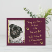 愛犬家カスタム用カード シーズンカード (スタンド正面)