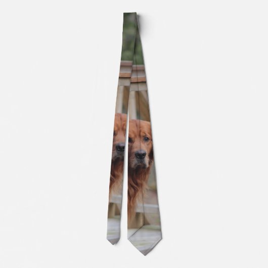 愛犬家タイ ネクタイ (裏面)
