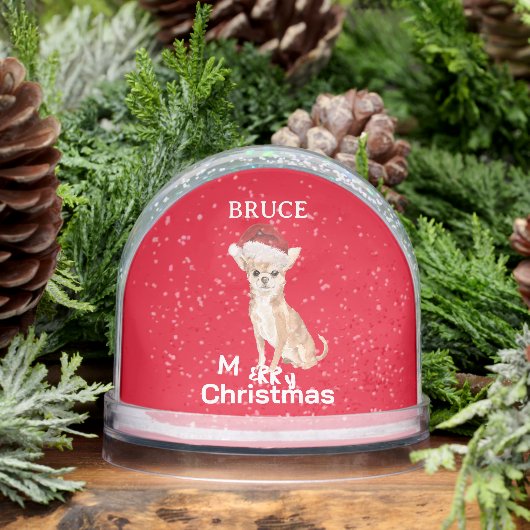 愛犬家チワワおもしろいレッドメリークリスマス (冬)