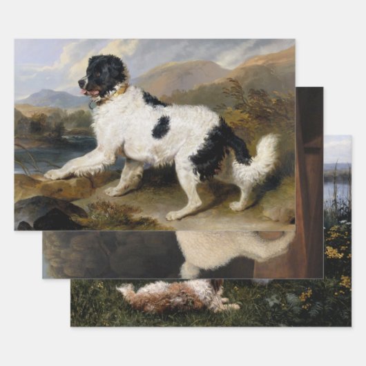 愛犬家（ペットと犬）選択 ラッピングペーパーシート (セット)