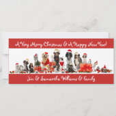 愛犬家- Merry Christmas Card シーズンカード (正面)