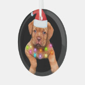 愛犬家pのためのドグドゥボルドーのクリスマスデコール ガラスオーナメント (正面左)