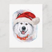 愛犬愛好家のためのアラスカのマラムテのクリスマスプレゼント シーズンポストカード (正面)